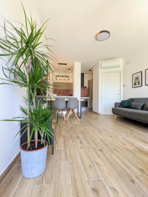Casa Ikigai Sirolo - Appartamento Nuovissimo Con Giardino, A Due Passi Dal Centro Exteriér fotografie
